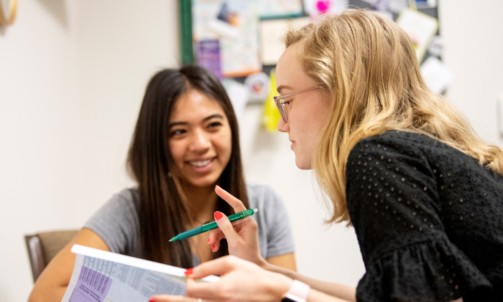 Student working with an academic advisor